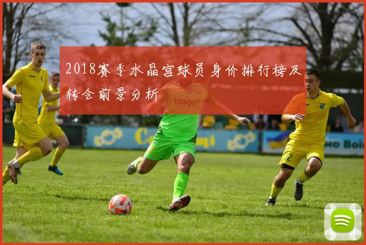 2018赛季水晶宫球员身价排行榜及转会前景分析