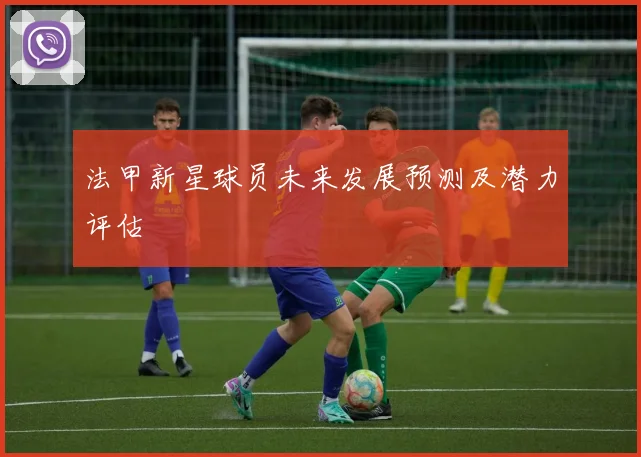 法甲新星球员未来发展预测及潜力评估