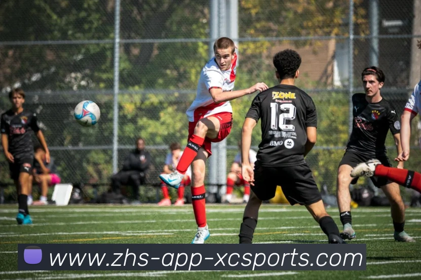 多媒体互动体验