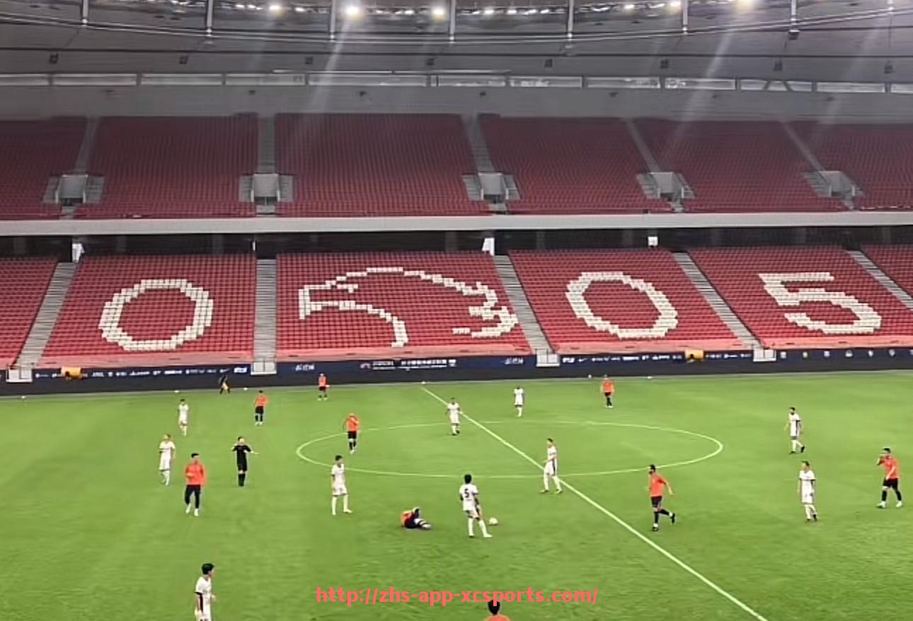 杏彩体育-龙珠体育提供的西甲视频直播体验分析