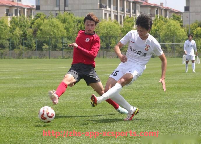 杏彩体育-英超球队10号：英超球队中担任10号位置的球员与意义