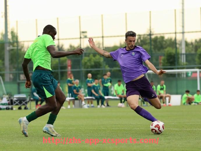 杏彩体育-世俱杯比赛字幕服务上线，多语种支持提升观赛体验